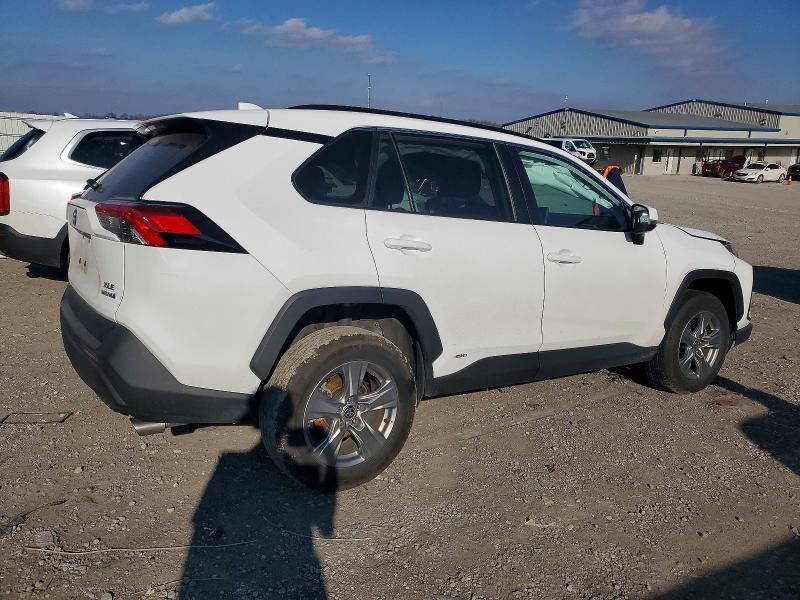 2024 Toyota Rav4 xle