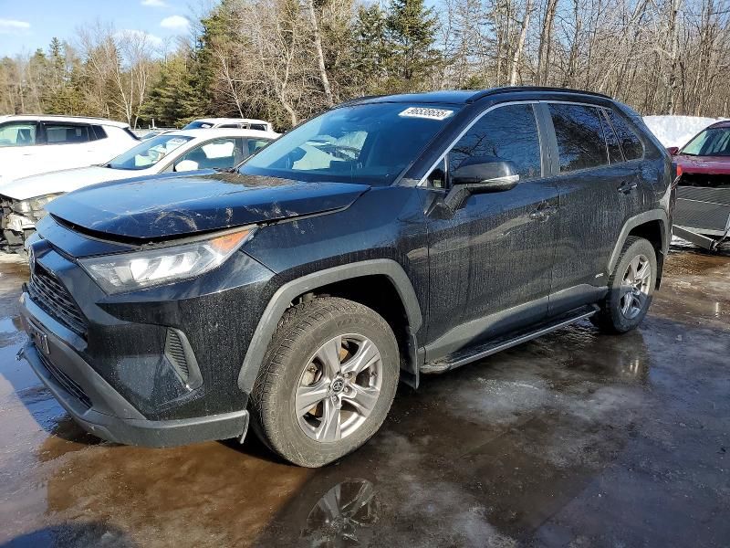 2023 Toyota Rav4 le