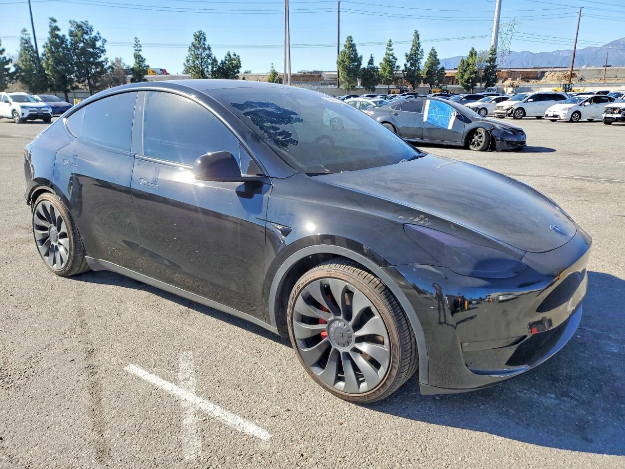 2023 Tesla Model y