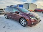 2019 Honda Odyssey exl