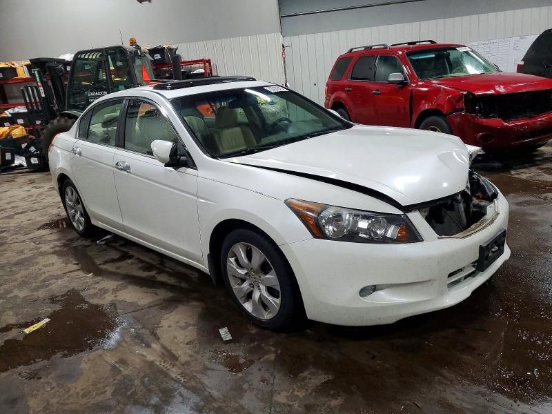 2010 Honda Accord exl
