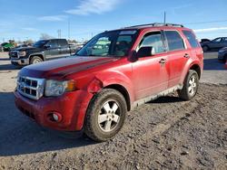 Salvage cars for sale from Copart Oklahoma City, OK: 2012 Ford Escape xlt