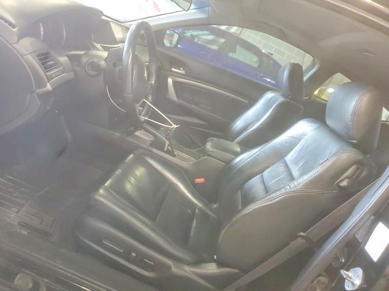 2010 Honda Accord exl