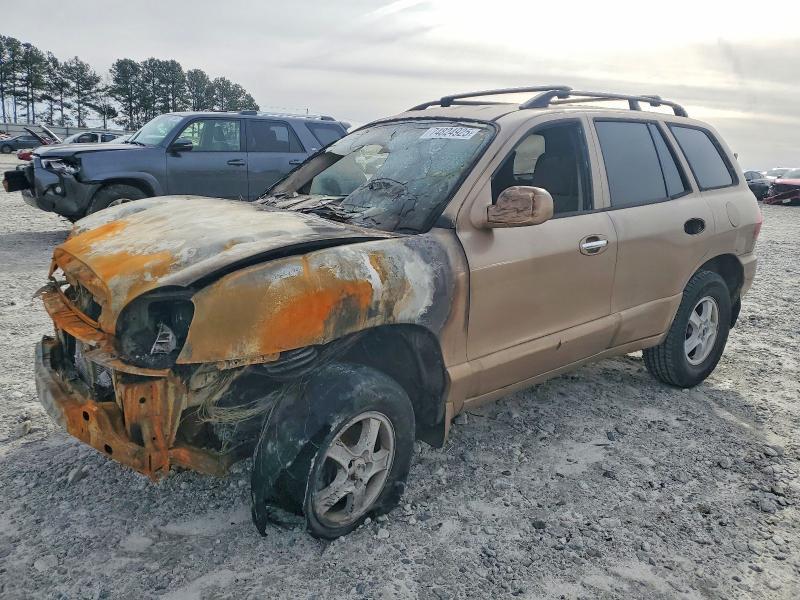 2004 Hyundai Santa fe gls