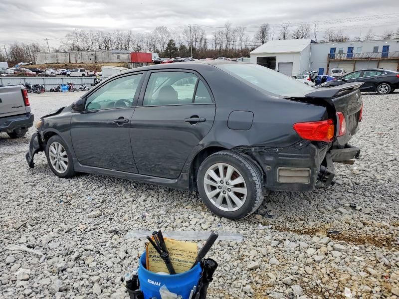 2010 Toyota Corolla Base