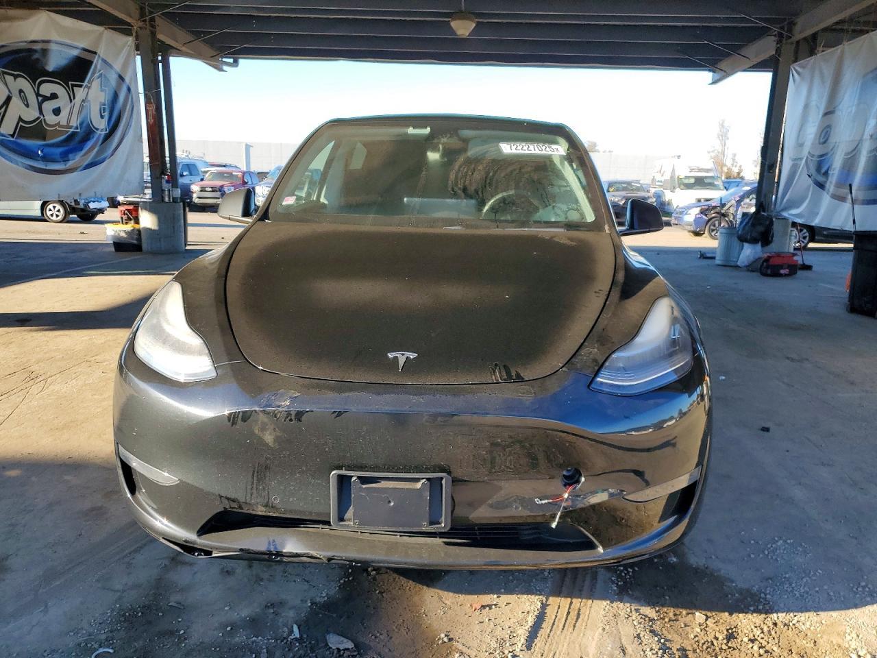 2020 Tesla Model y