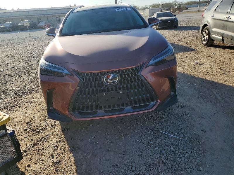 2025 Lexus Nx 350 Luxury