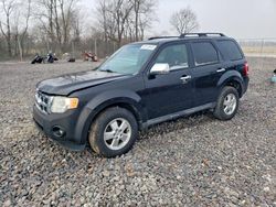 Ford salvage cars for sale: 2011 Ford Escape xlt