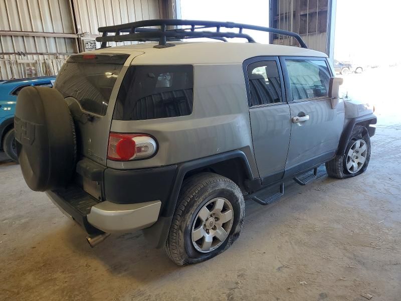 2010 Toyota Fj Cruiser