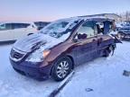 2010 Honda Odyssey exl