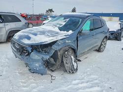 Ford Escape pla salvage cars for sale: 2024 Ford Escape Platinum