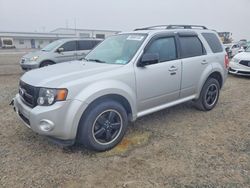 Salvage cars for sale from Copart Lumberton, NC: 2010 Ford Escape xlt