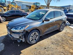 Ford salvage cars for sale: 2020 Ford Escape sel