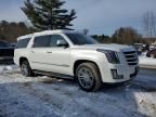 2017 Cadillac Escalade esv