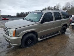 Cadillac Escalade salvage cars for sale: 2003 Cadillac Escalade Luxury