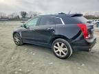 2013 Cadillac Srx Performance Collection