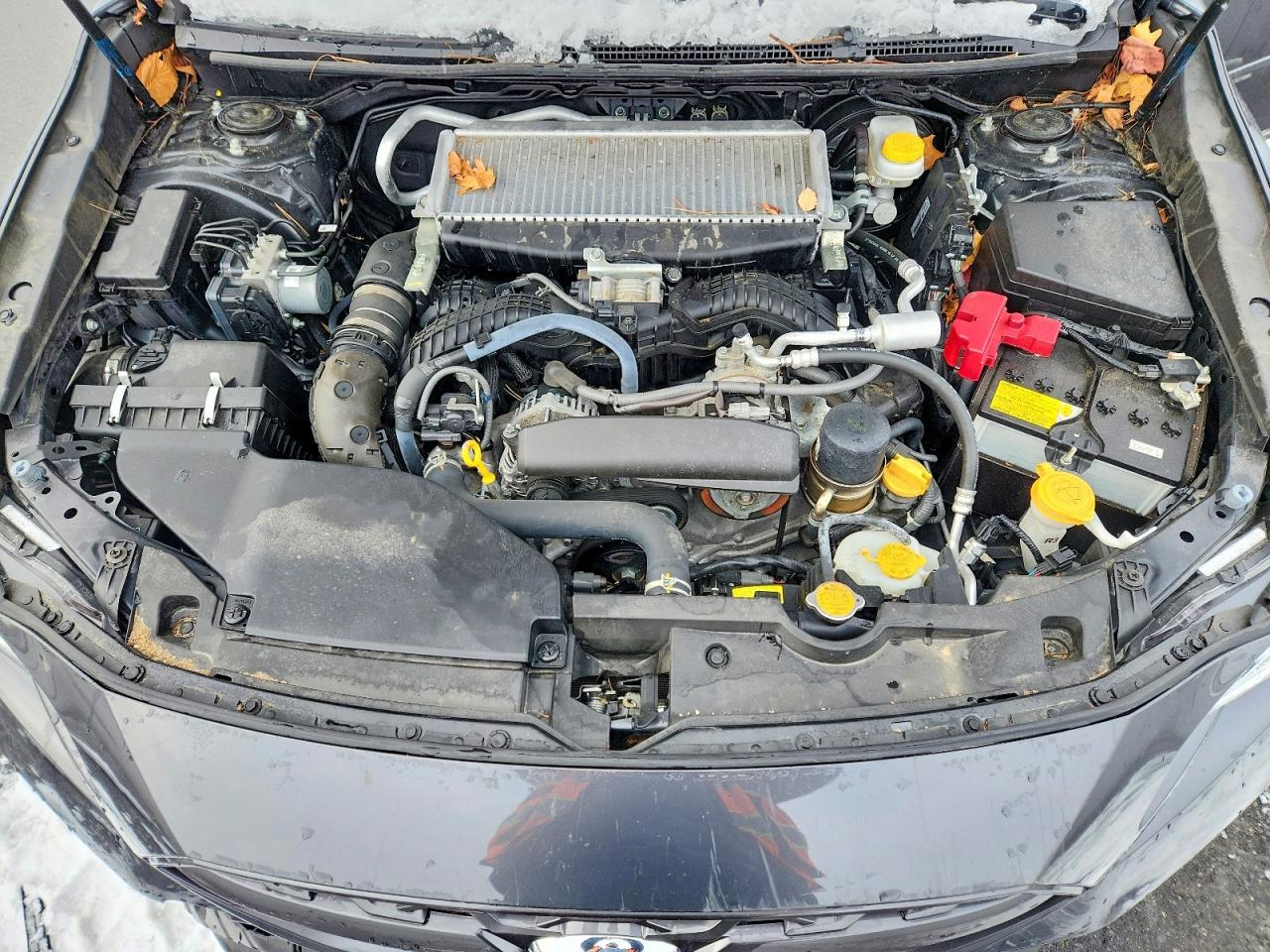 2023 Subaru Wrx Limited