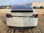2019 Tesla Model x