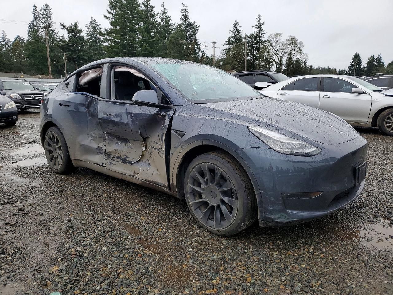 2020 Tesla Model y