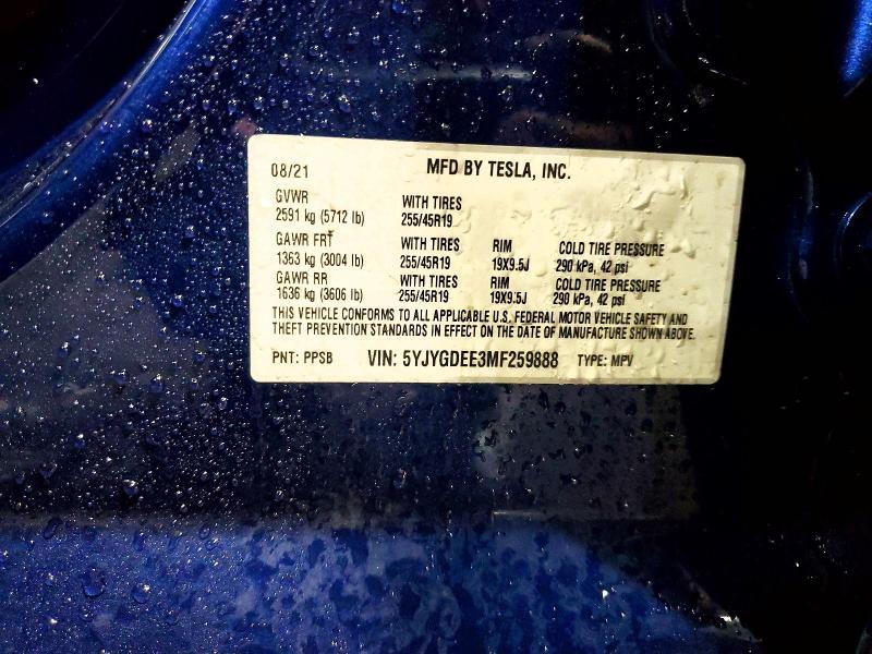 2021 Tesla Model y