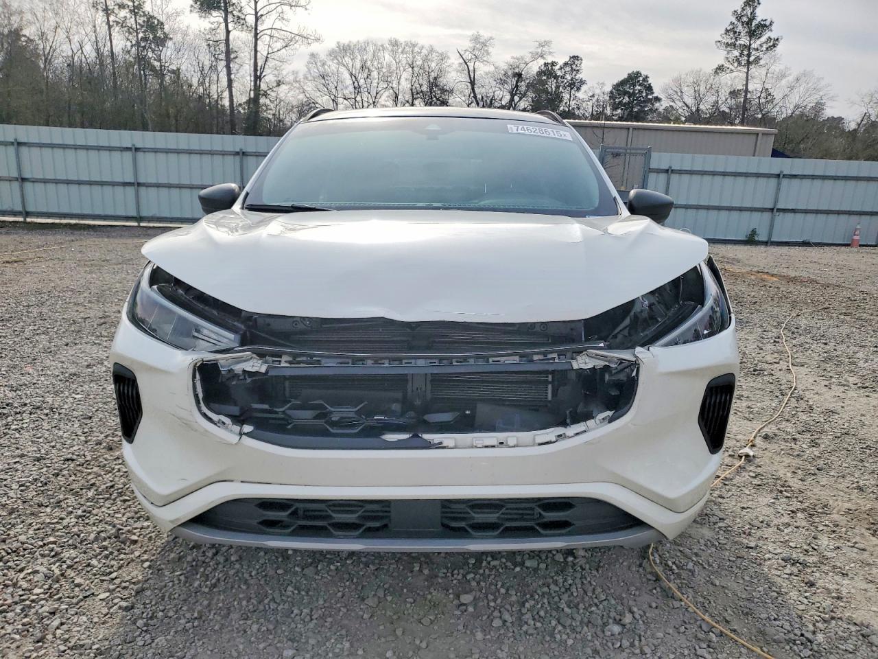 2024 Ford Escape st Line