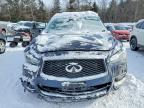 2019 Infinity Qx60 Luxe