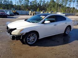 2010 Nissan Maxima s for sale in Harleyville, SC
