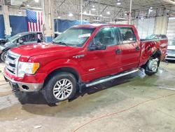 Salvage cars for sale from Copart Woodhaven, MI: 2013 Ford F150 Supercrew