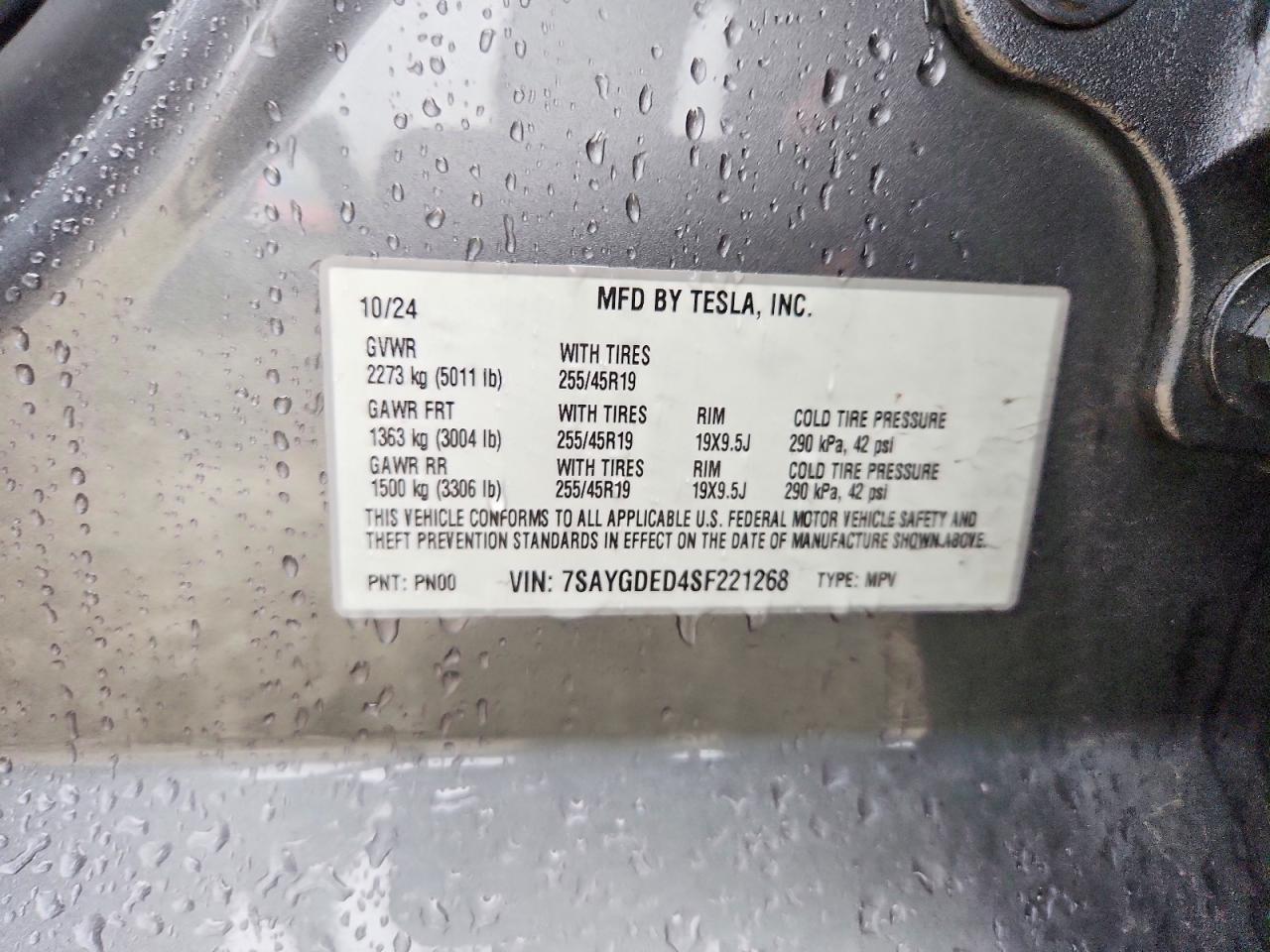 2025 Tesla Model y