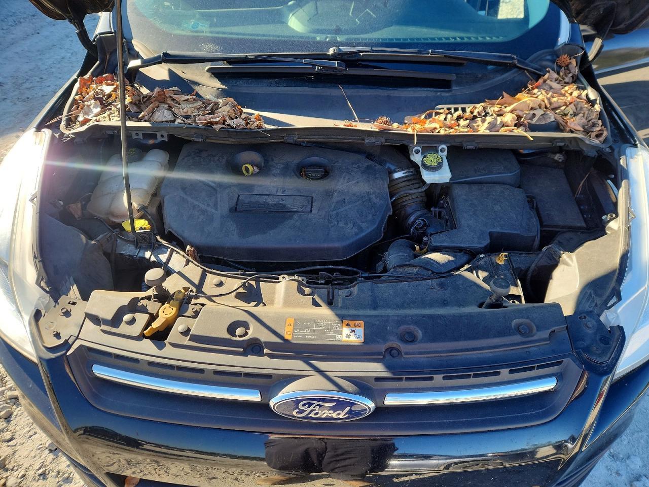 2016 Ford Escape se