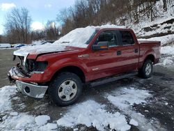 Ford F-150 Vehiculos salvage en venta: 2014 Ford F150 Supercrew