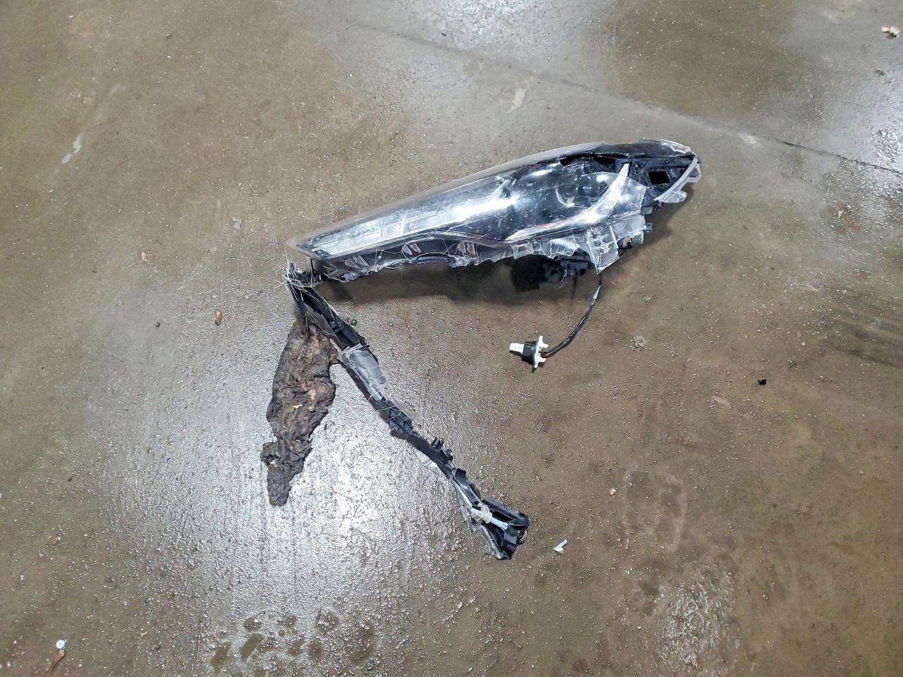 2024 Toyota Corolla Cross Hybrid s