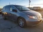 2011 Honda Odyssey exl