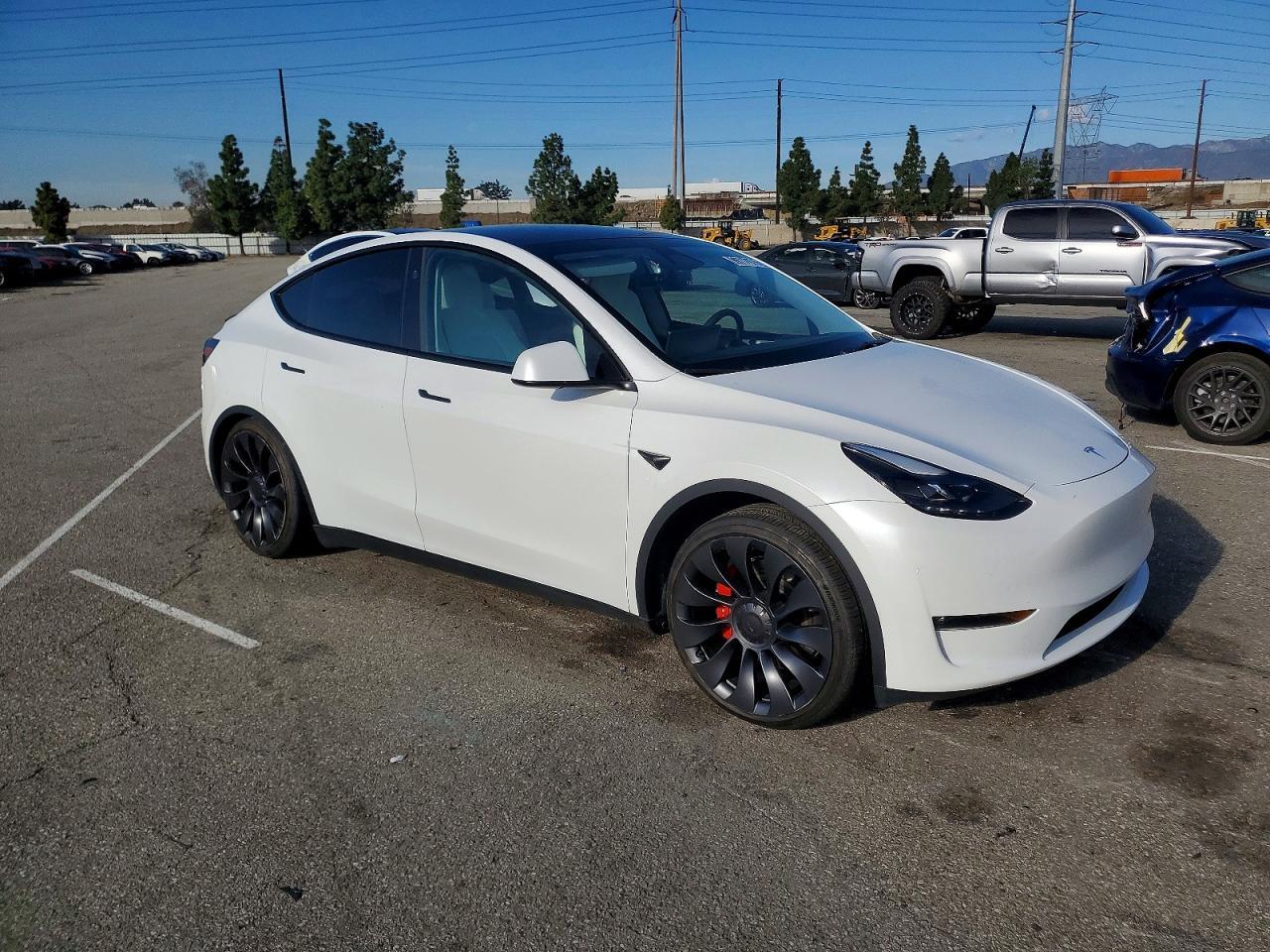 2024 Tesla Model y