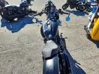 2025 Indian Motorcycle Co. Scout