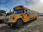 2018 Blub School Bus / Transit
