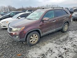 KIA Sorento lx salvage cars for sale: 2012 KIA Sorento lx