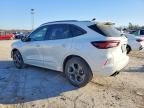 2024 Ford Escape st Line