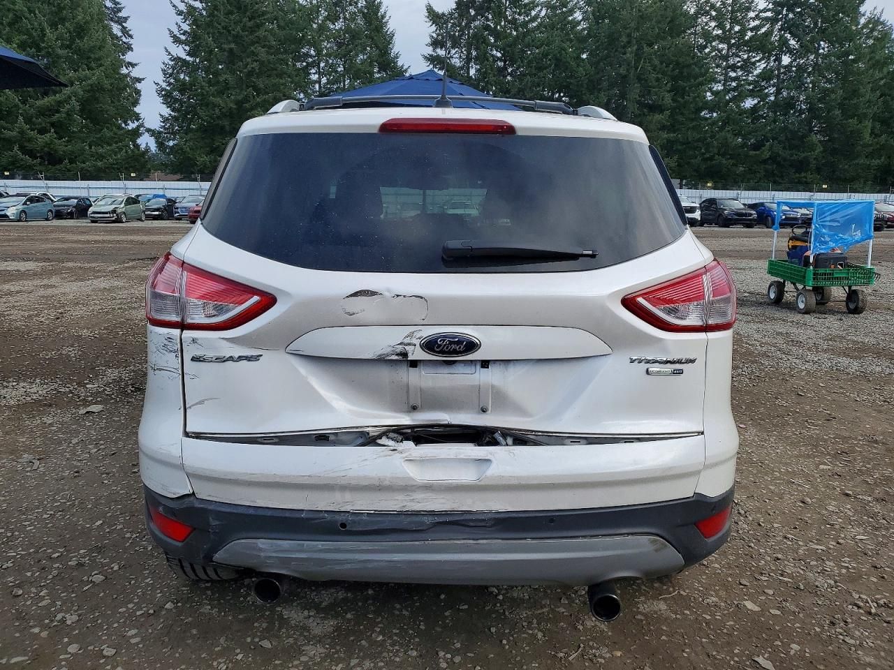 2013 Ford Escape Titanium