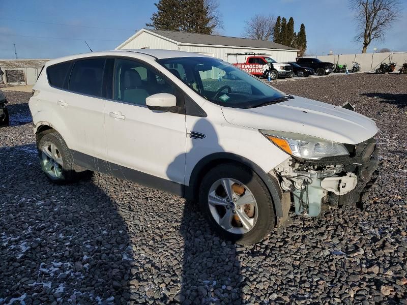 2014 Ford Escape se