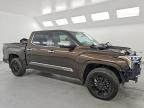 2025 Toyota Tundra 1794 Edition