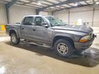 2003 Dodge Dakota Quad SLT