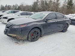 2010 Acura TL en venta en Cookstown, ON