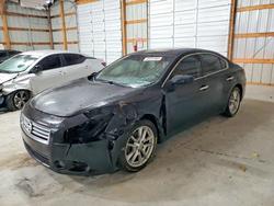 2013 Nissan Maxima s en venta en Lawrenceburg, KY