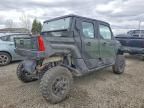 2024 Polaris Xpedition XP1000 Utility Vehicle