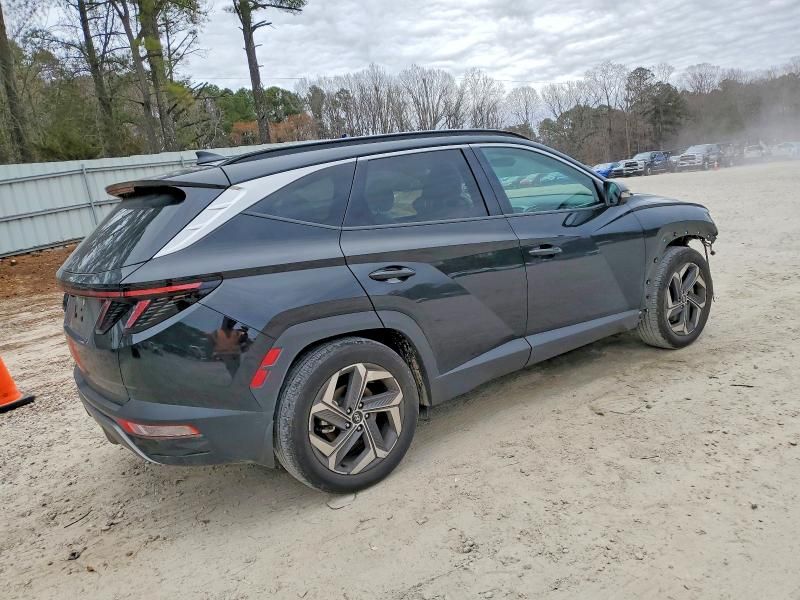 2024 Hyundai Tucson Limited