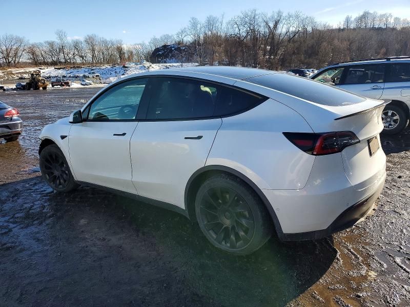 2021 Tesla Model y