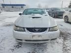 2003 Ford Mustang gt