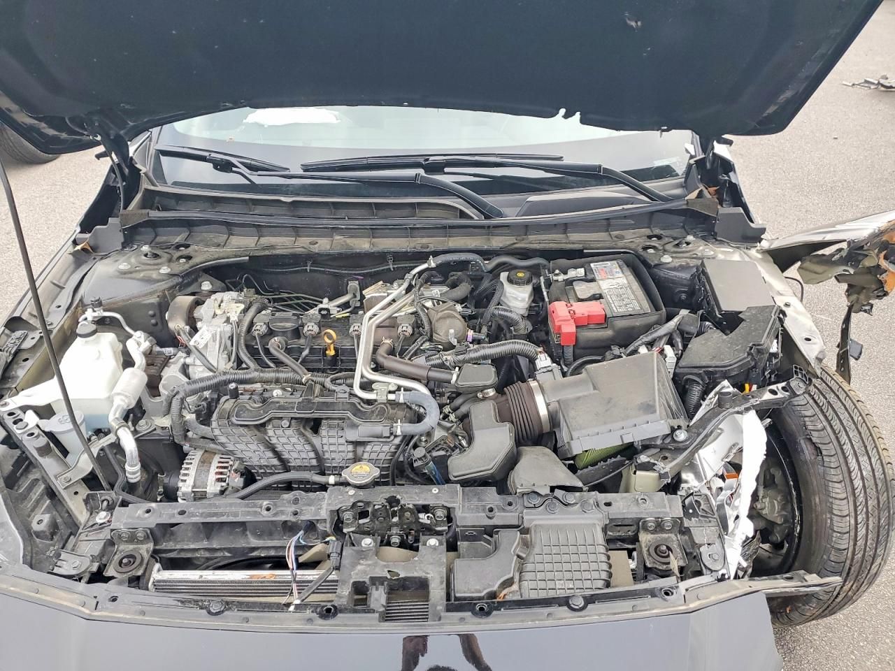 2025 Nissan Altima sv