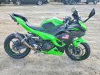 2024 Kawasaki EX500 H